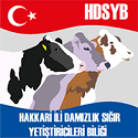 Hakkari Dsyb